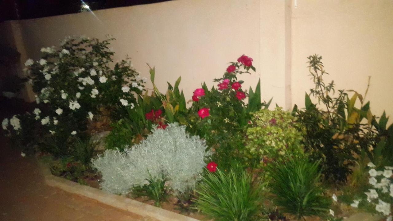 Tintech Bed & Breakfast Francistown Luaran gambar